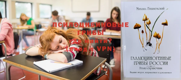 СК Мегион
