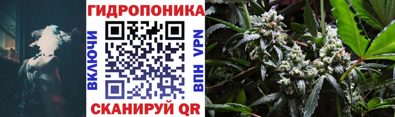 ссылка на мегу зеркало Новотроицк Каннабис ГИДРОПОН